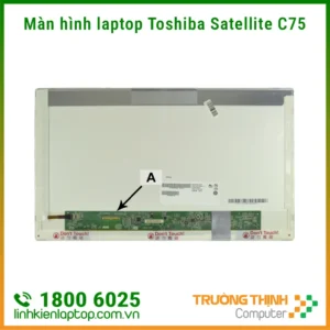 Màn hình laptop Toshiba Satellite C75-A, C75-B, C75-C