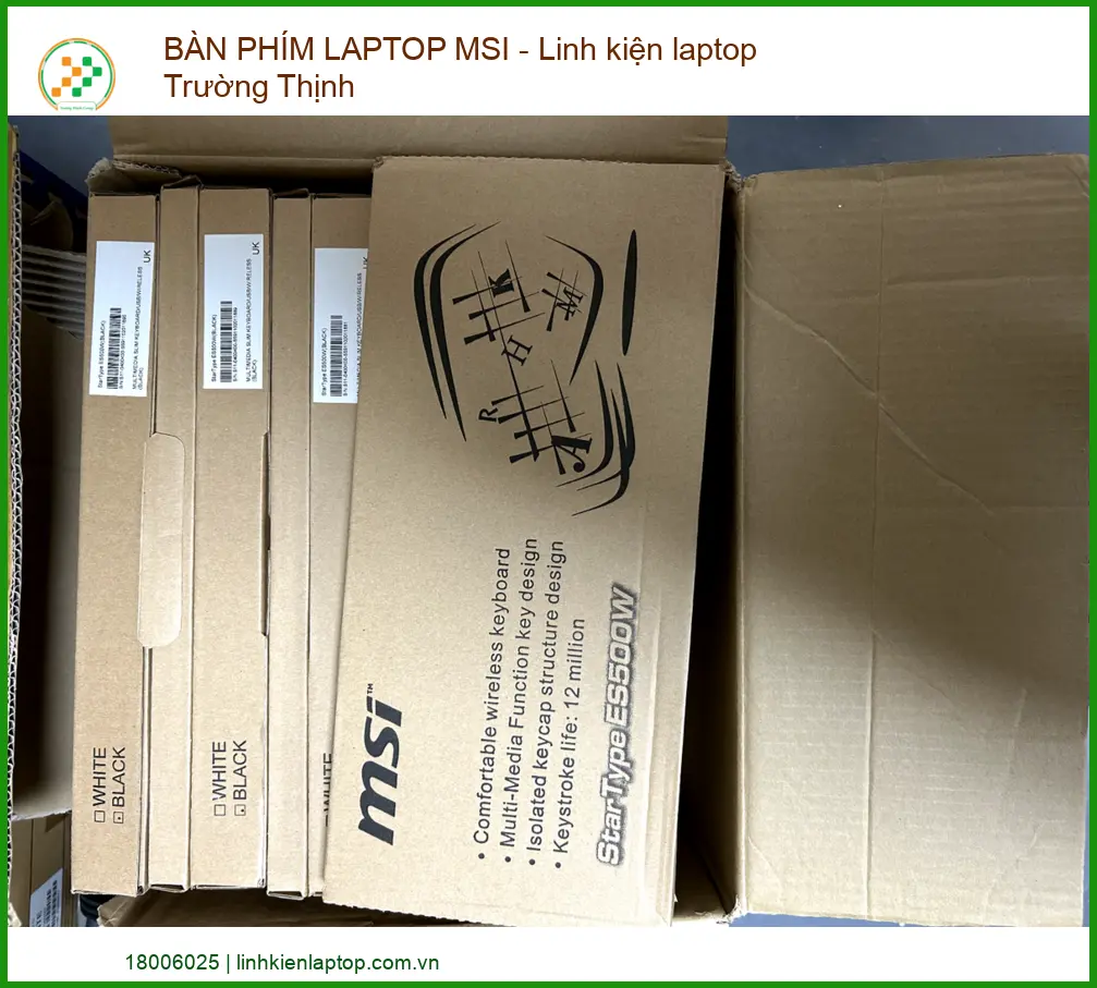 Các Dòng Bàn Phím Msi Phổ Biến Tại Thị Trường Việt Nam