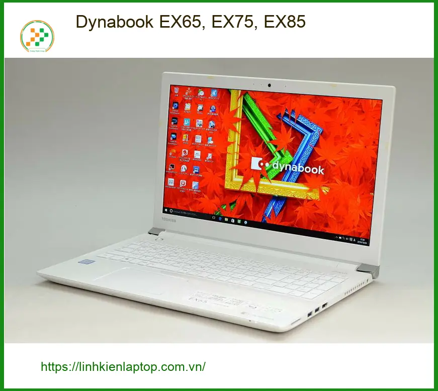 Webcam Laptop Dynabook EX65, EX75, EX85 - Thay Nhanh TPHCM Giá Rẻ