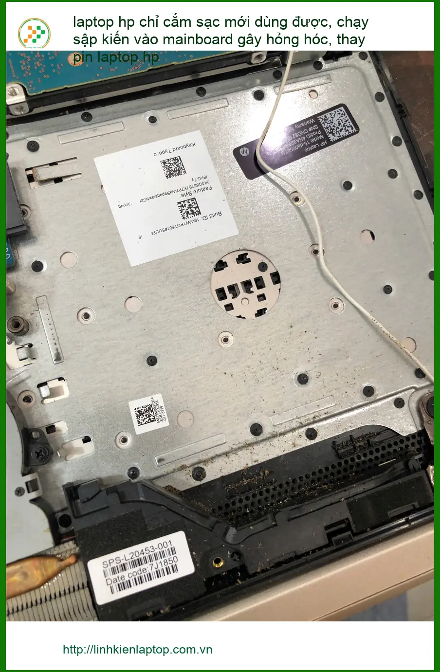 Dịch vụ Thay pin laptop Hp Quận Bình Thạnh - Anh Khánh Duy bị kiến vào mainboard ảnh thực tế 1