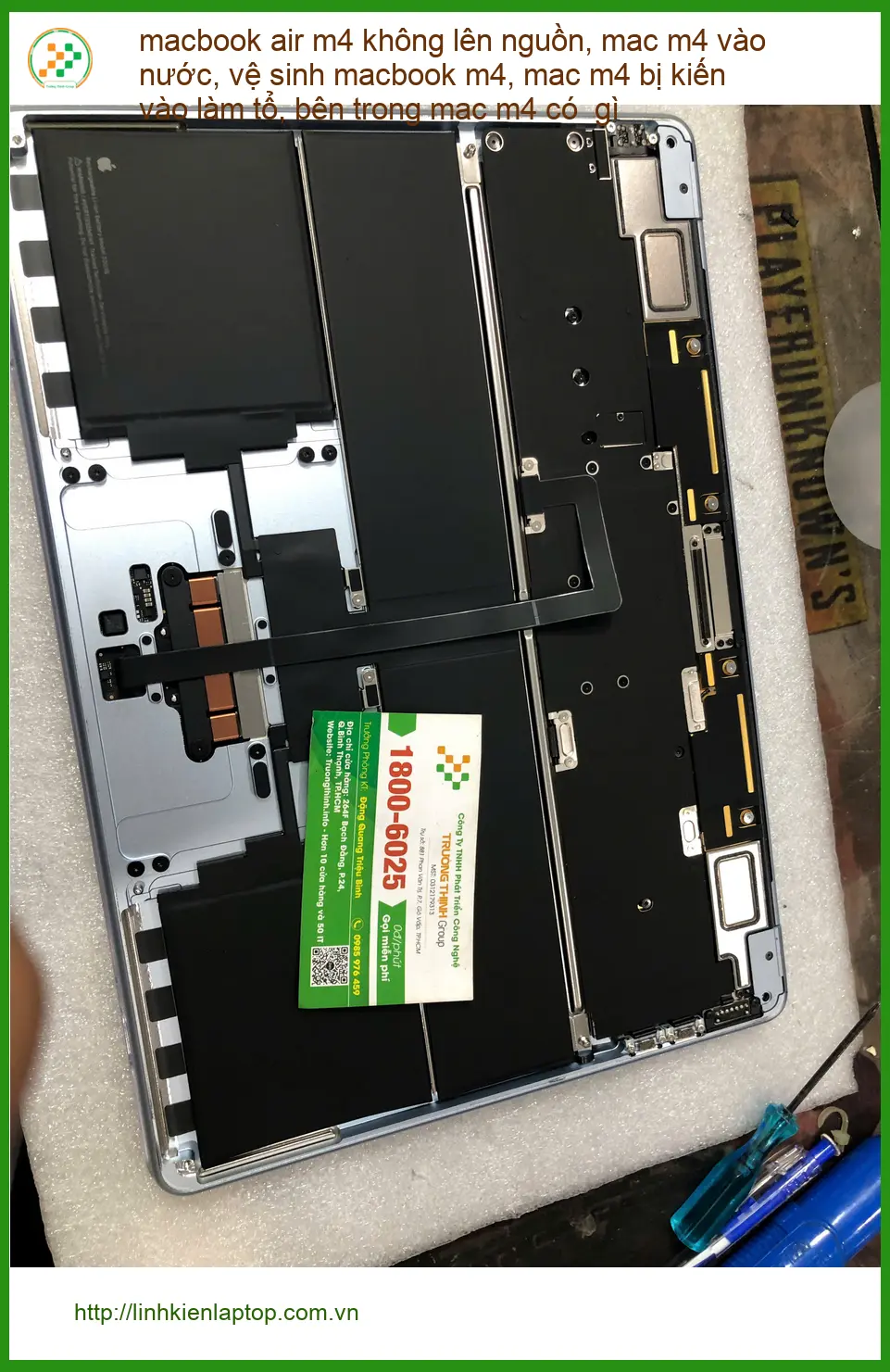 Chỗ sửa mac m4 bị kiến vào làm tổ lấy liền Quận Bình Thạnh - Cô Phượng giáo viên. ảnh thực tế 1