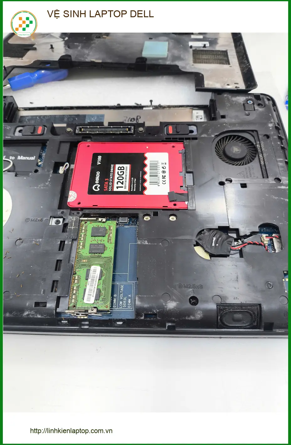 Anh Khang kế toán vệ sinh laptop Dell Quận Gò Vấp - Chỗ uy tín, lấy liền? ảnh thực tế 1