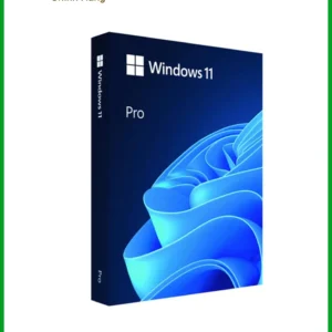 Windows 11 Home Retail FPP 1 PC - Cài Đặt Tận Nơi TPHCM Giá Rẻ