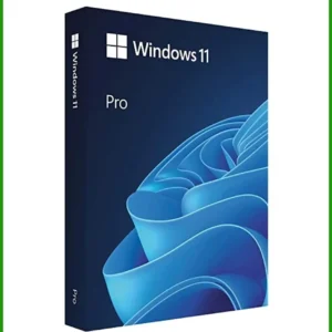 Windows Bản Quyền 11 Pro OEM 1 PC - Cài Đặt Nhanh | Giá Rẻ TPHCM