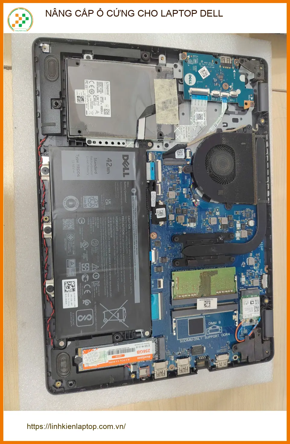 Anh Hùng IT review chỗ nâng cấp SSD laptop Dell chậm rì rì Gò Vấp lấy ngay ảnh thực tế 1