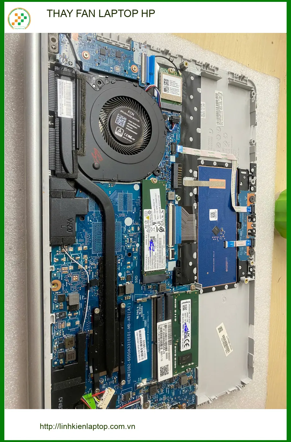 Anh Minh nhân viên văn phòng tìm chỗ thay fan laptop HP Quận Gò Vấp ảnh thực tế 1