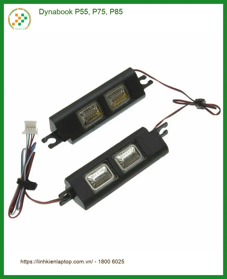 Loa Laptop Dynabook P55 P75 P85 - Thay Nhanh TPHCM Giá Rẻ Lấy Liền