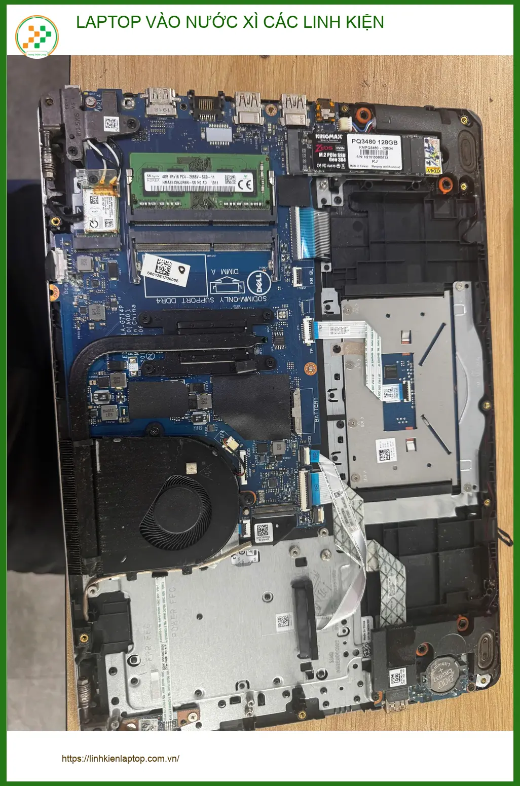 Anh Đại quản lý nhà hàng tá hỏa vì laptop vào nước xì linh kiện Quận 10 ảnh thực tế 2
