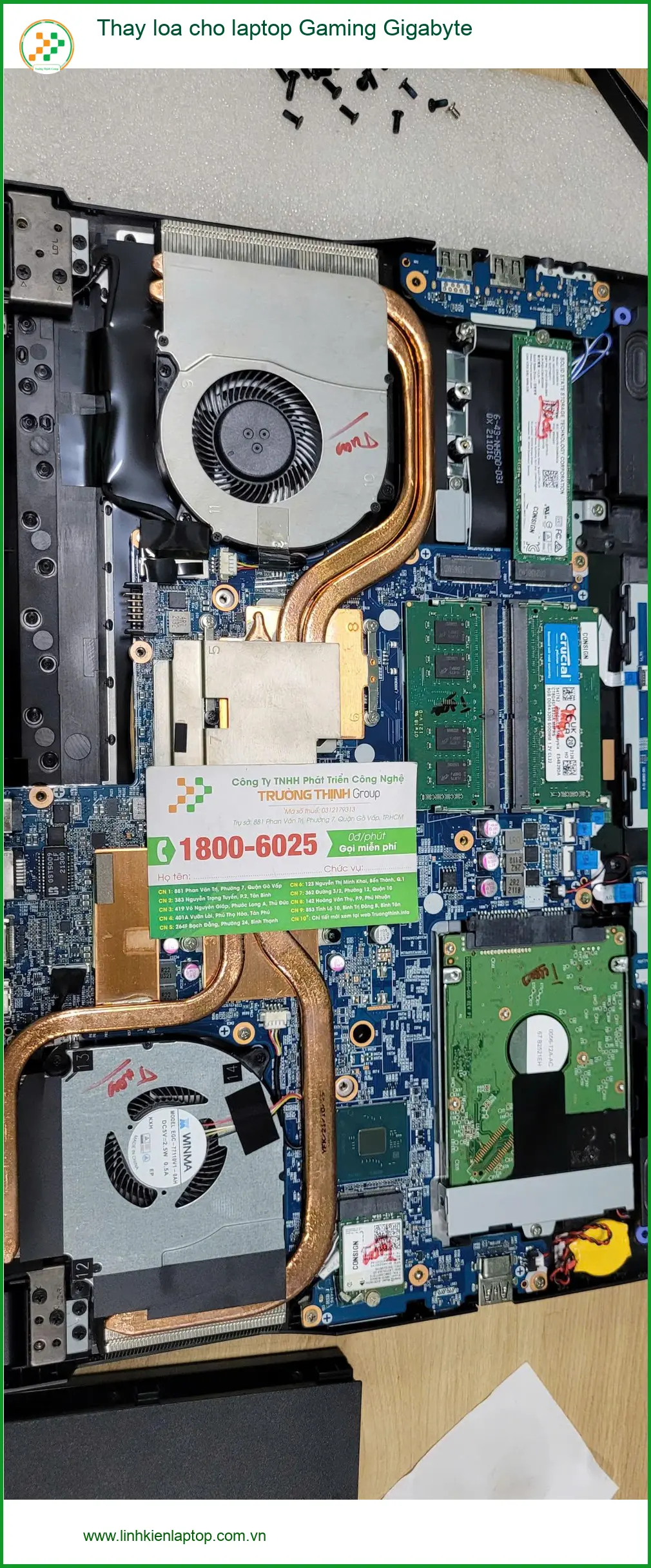 Anh Quang chủ quán cafe review thay loa laptop Gaming Gigabyte Quận Bình Tân ảnh thực tế 2